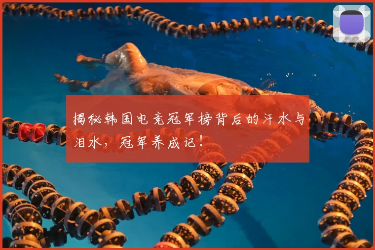 揭秘韩国电竞冠军榜背后的汗水与泪水,冠军养成记!